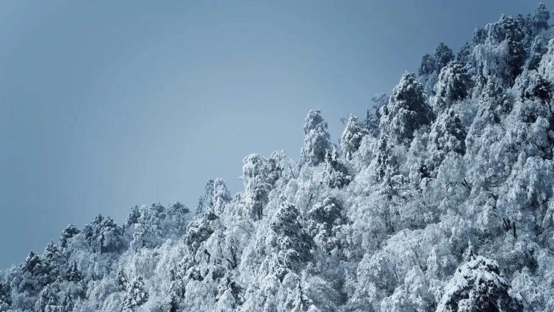 机智问答网页-聪明解答尽在鸡蛋破了好久发臭了长小白虫,小白虫能吃吗?小白虫以后长大会是什么动物?小小虫是蛆吧