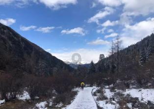 探寻吉鹿力问答社区——为什么过年要吃饺子专业答疑平台